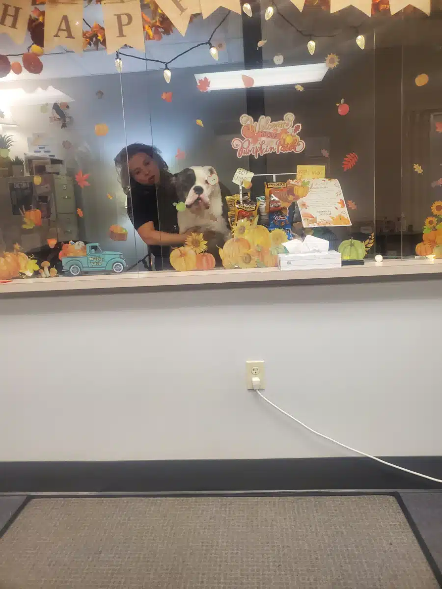 Clinical Outcomes Group Inc - Preview