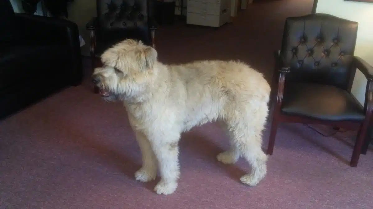 Family Intervention Center Inc