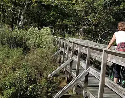 Recovery Services of Connecticut